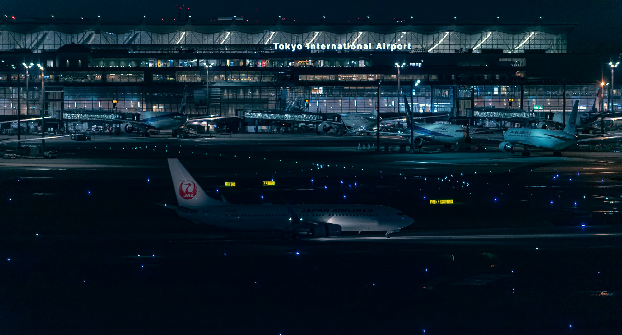 【2026年5月〜】フィリピン留学の航空券が値上げ｜今すぐ確認すべきポイント